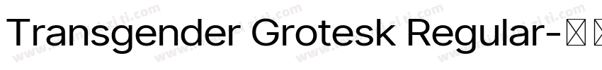 Transgender Grotesk Regular字体转换